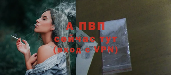 спиды Новокубанск
