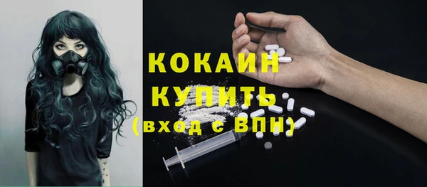 первитин Новодвинск