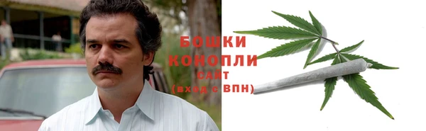 первитин Новодвинск