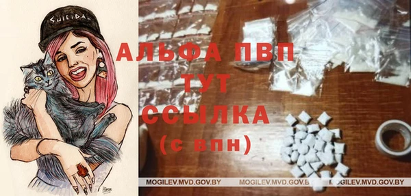 спиды Новокубанск