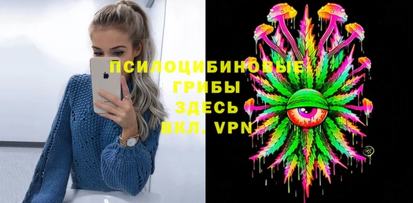 первитин Новодвинск
