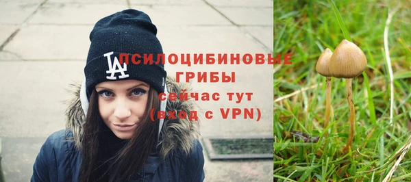 кокаин колумбия Новозыбков