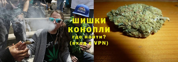 первитин Новодвинск