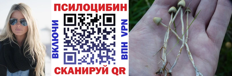 хочу наркоту  Приморско-Ахтарск  Галлюциногенные грибы мухоморы 